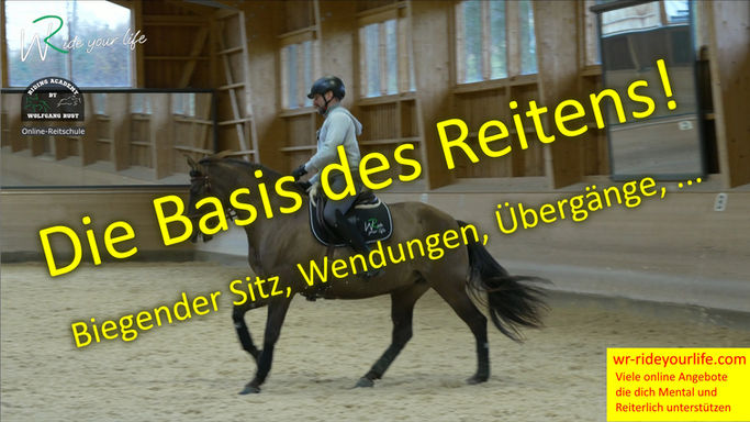 F207 Estrella 3 Harmonisches Reiten/ Basis des Reitens! Hufschlagfiguren und verständlich erklärte Reiterhilfen